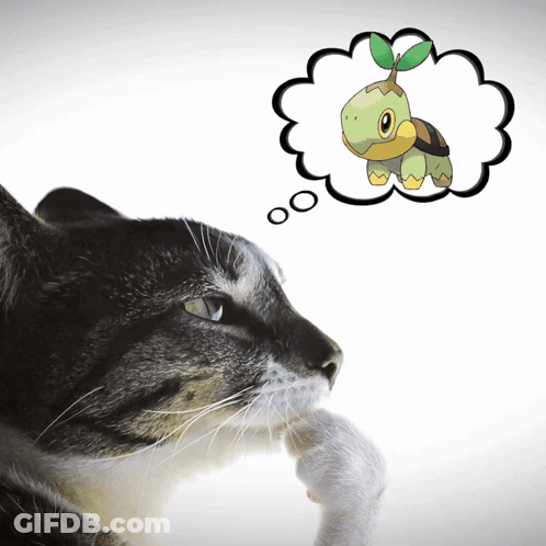 Cat With Turtle Thought Bubble GIF