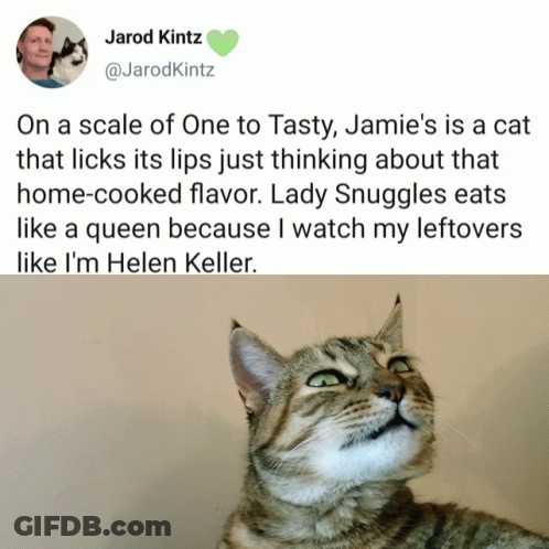 Cat With Tweet On A Scale Of One To Tasty GIF