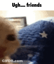 Cat With Ugh Friends Text GIF