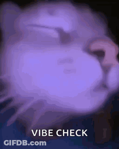 Cat With Vibe Check Text GIF