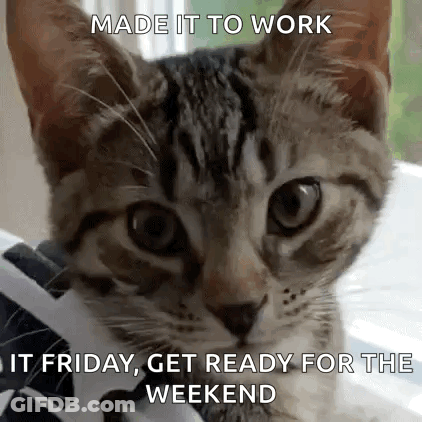 Cat With Weekend Ready Message GIF