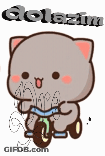 Cat With Word Dolezin GIF