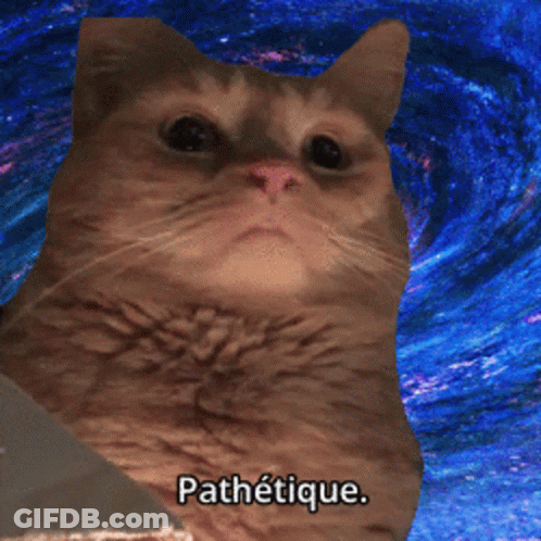 Cat With Word Pathetique GIF