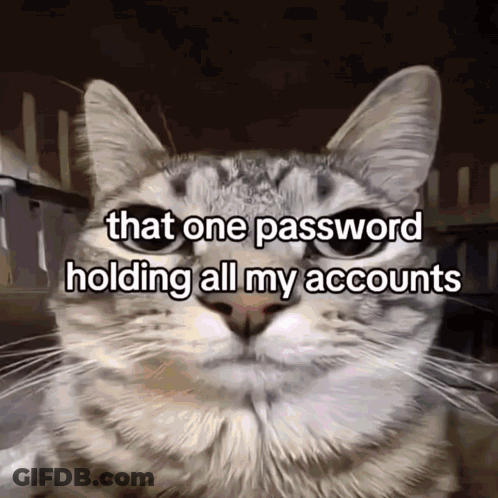 Cat With Words That One Password Holding All My Accounts GIF