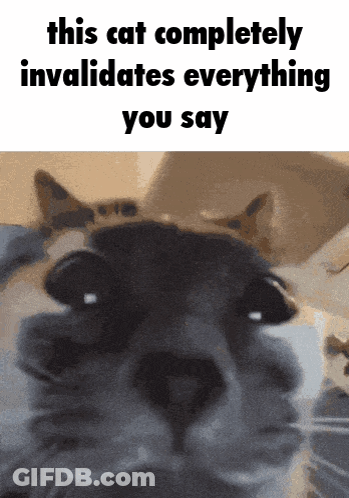 Cat With Words This Cat Invalidates Everything GIF
