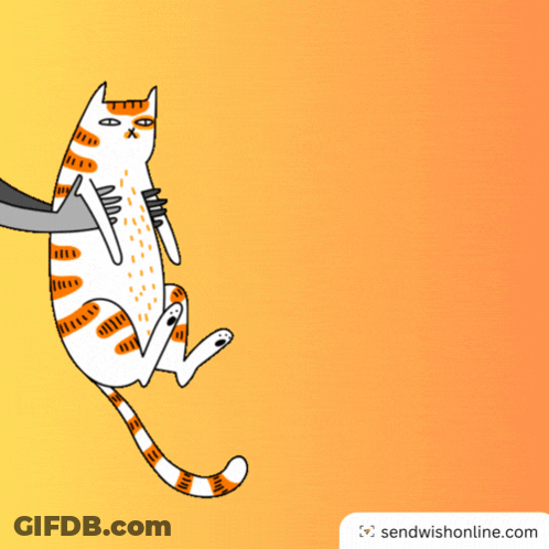 Cat With Wow This Is Bo GIF