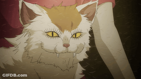 Cat With Yellow Eyes And Long Teeth GIF
