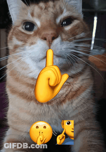 Cat With Yellow Finger Pointing To Mouth GIF