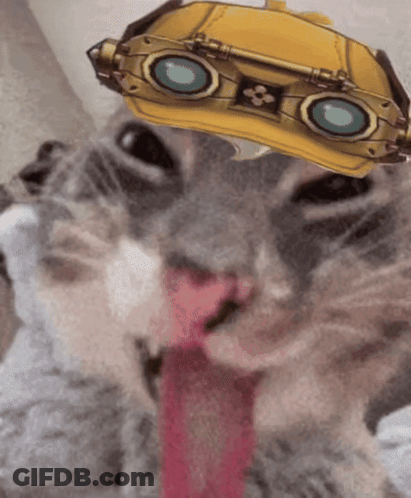 Cat With Yellow Helmet And Goggles GIF