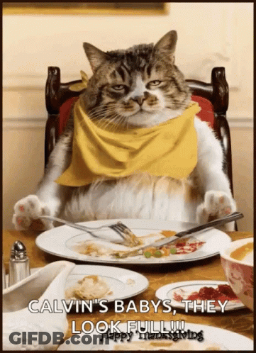 Cat With Yellow Scarf At Table With Food GIF