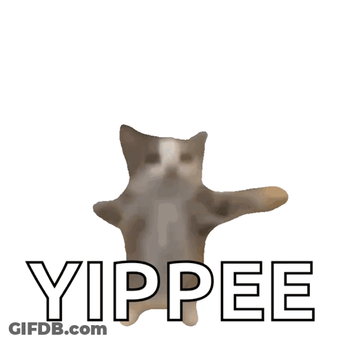 Cat With Yippee Text GIF