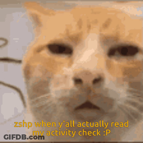 Cat With Zshp When Yall Actually Read My Activity Check GIF