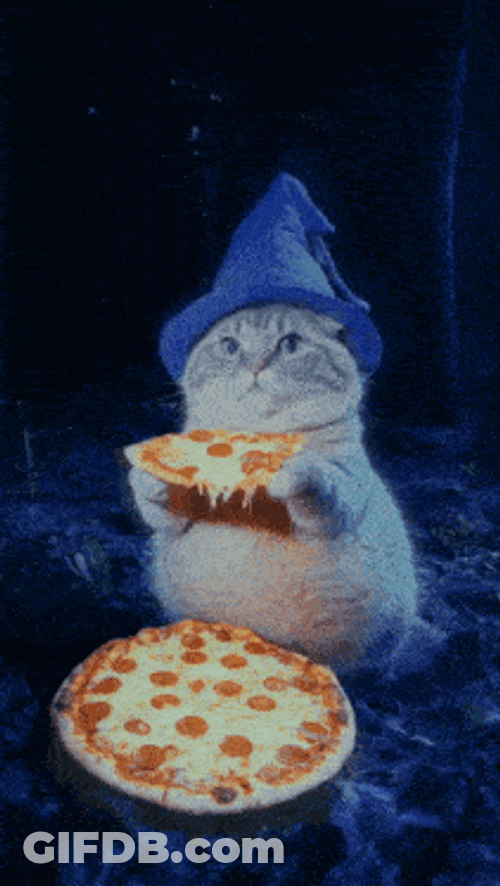 Cat Wizard Pizza GIF