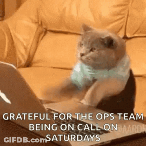 Cat Working Saturday GIF