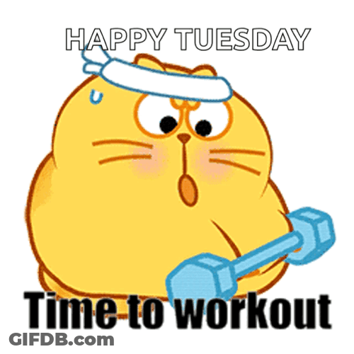 Cat Workout Time Cute Tuesday GIF