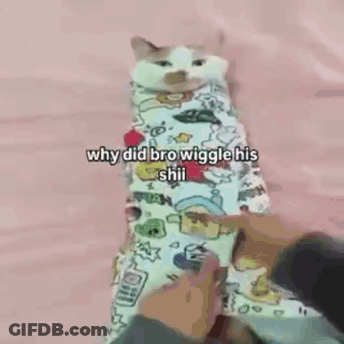 Cat Wrapped In Blanket Being Held GIF