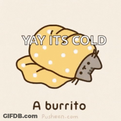 Cat Wrapped In Blanket Saying Yay Its Cold A Burrito GIF
