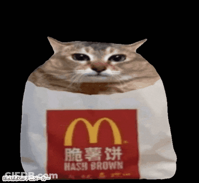 Cat Wrapped In McDonald's Bag GIF