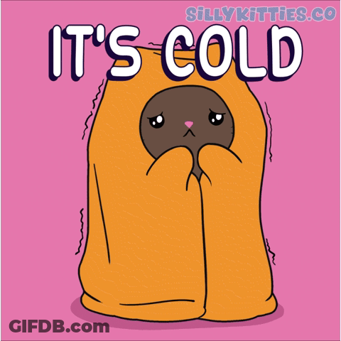 Cat Wrapped In Orange Blanket With It's Cold GIF