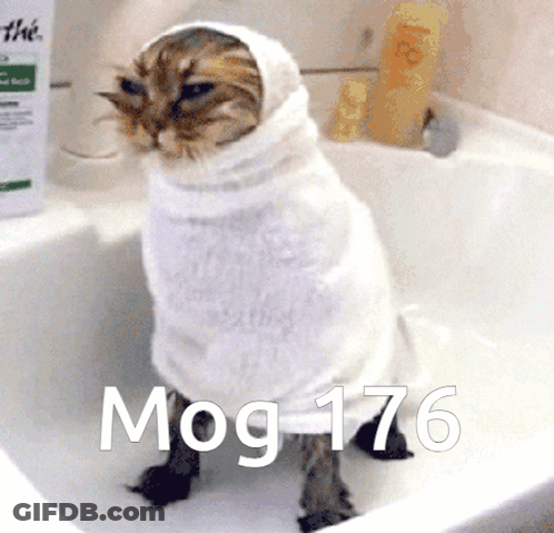 Cat Wrapped In Towel In Sink MOG 176 GIF