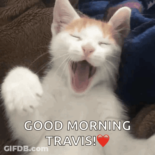 Cat Yawning Good Morning Travis GIF