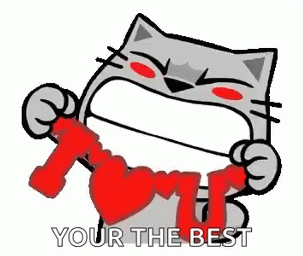 Cat You Da Best I Love You GIF