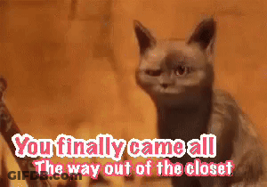 Cat You Finally Came All The Way Out Of The Closet GIF