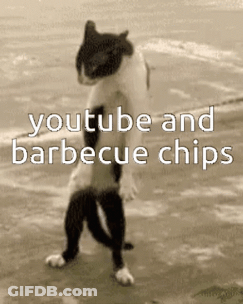 Cat Youtube Meme GIF