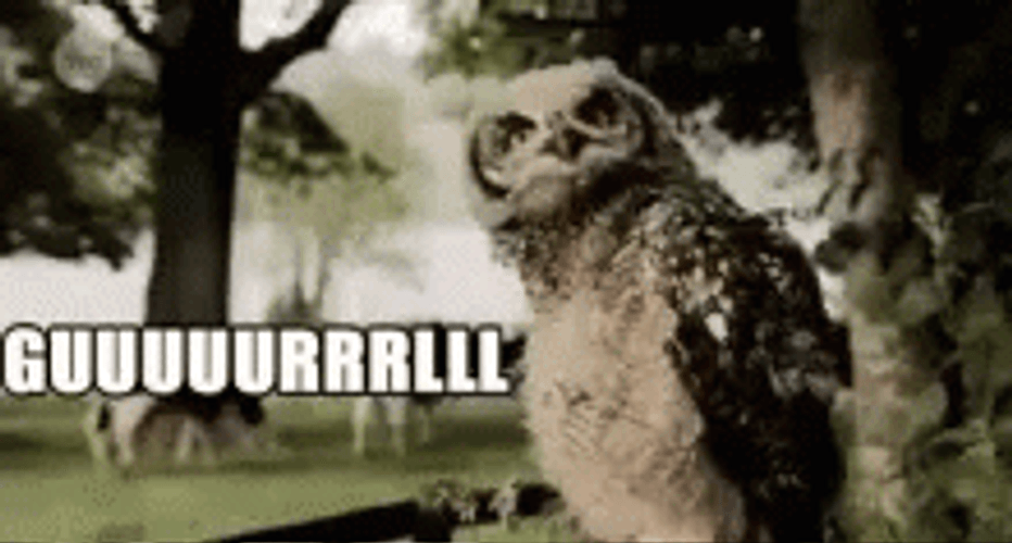 Catch Me Outside How Bout That Owl Gurl GIF