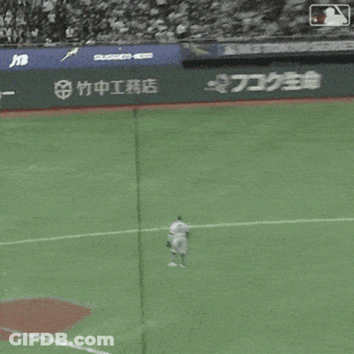 Catching The Ball Major League Baseball GIF