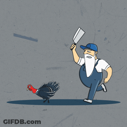 Catching Turkey Animated Thanksgiving GIF