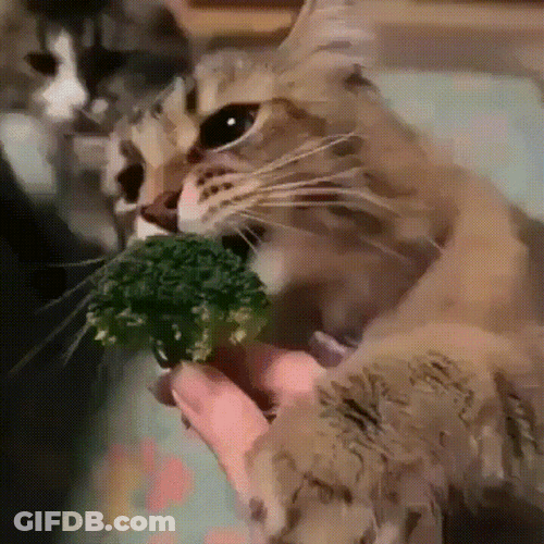 Cate Eat Bites Broccoli GIF