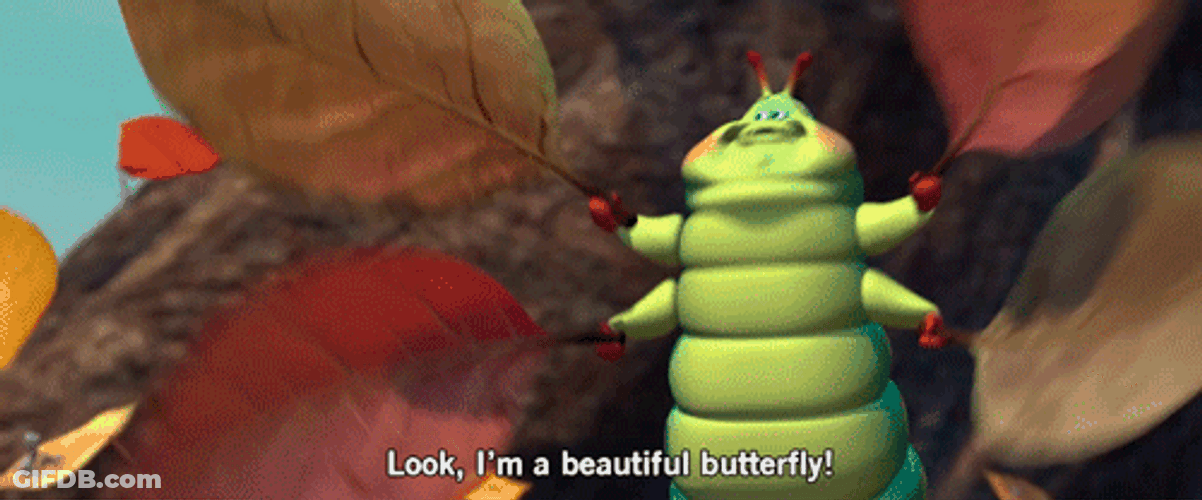 Caterpillar Look I'm A Beautiful Butterfly GIF