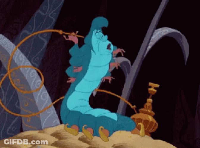 Caterpillar Who Are You GIF