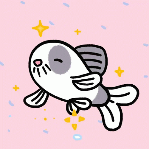 Catfish In Rainy Weather GIF