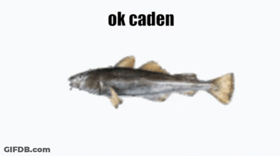 Catfish In Rotational Movement GIF