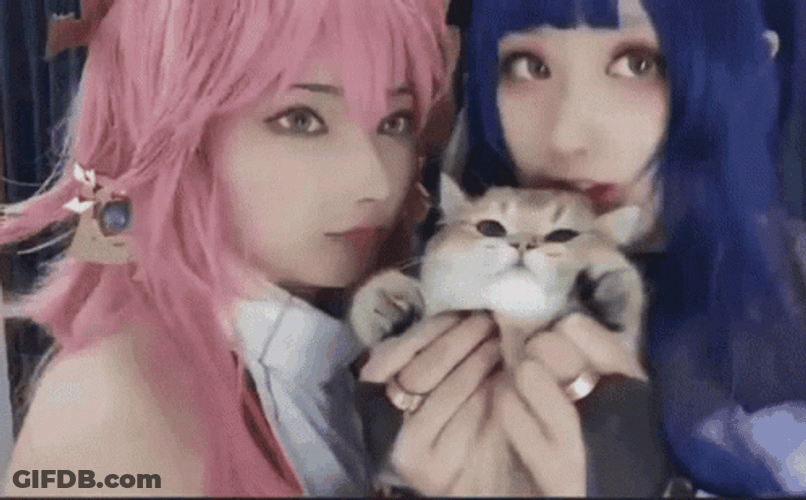 Catgirl Kissing Cat GIF