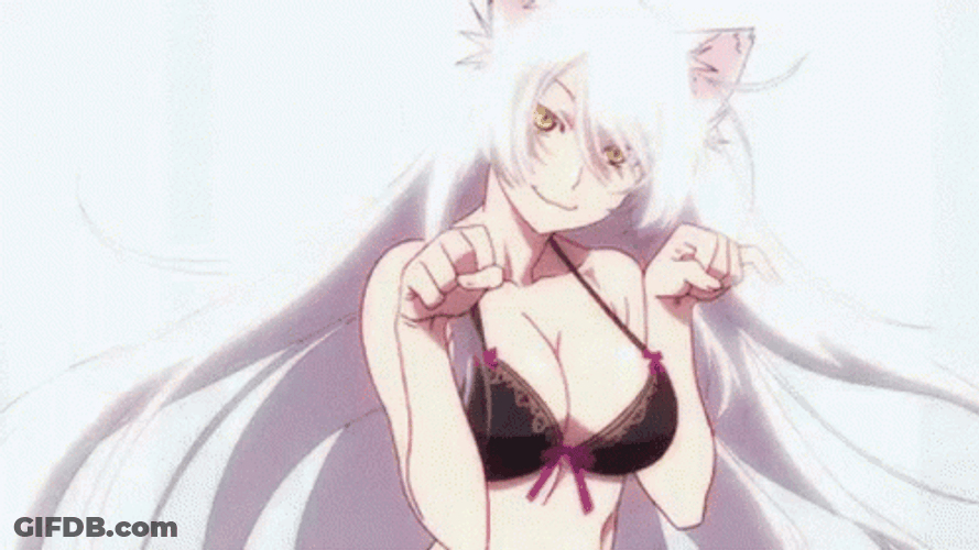 Catgirl Nekomonogatari Scratch Anime GIF