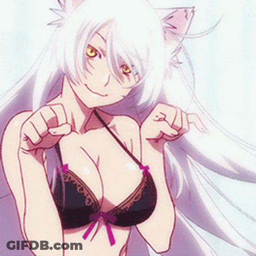 Catgirl Nekomonogatari Seductive Anime GIF