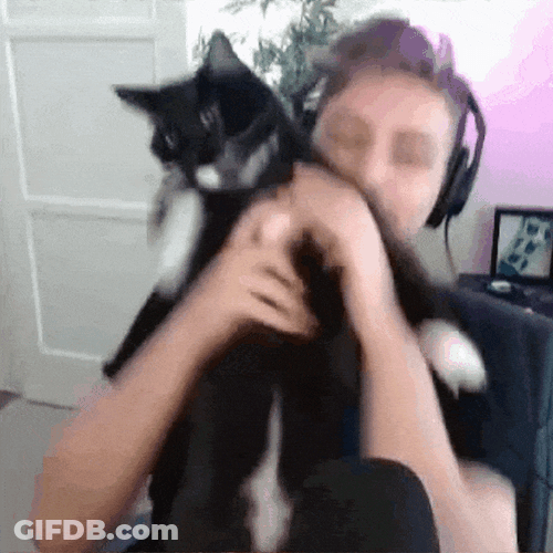 Catjam Black Cat Dancing With Human GIF