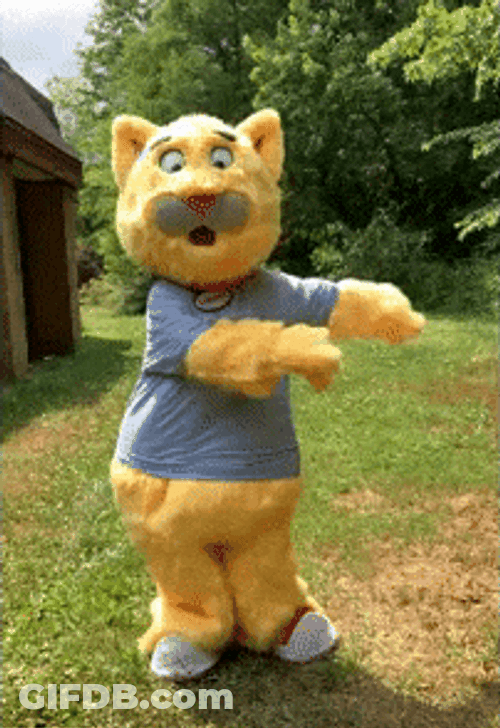 Catjam Cat Mascot Threading Dance GIF