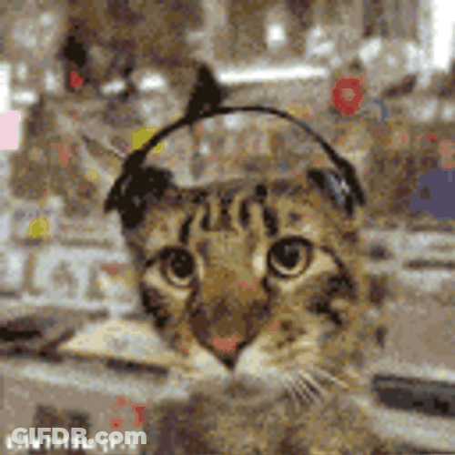 Catjam Cat Rocking Head Wearing Headphone GIF