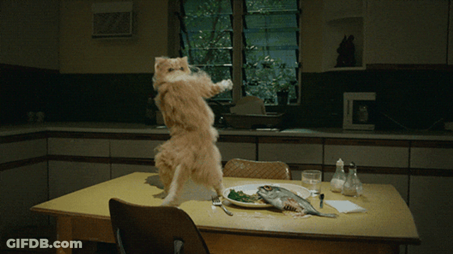 Catjam Furry Cat Hip Thrust Dance GIF