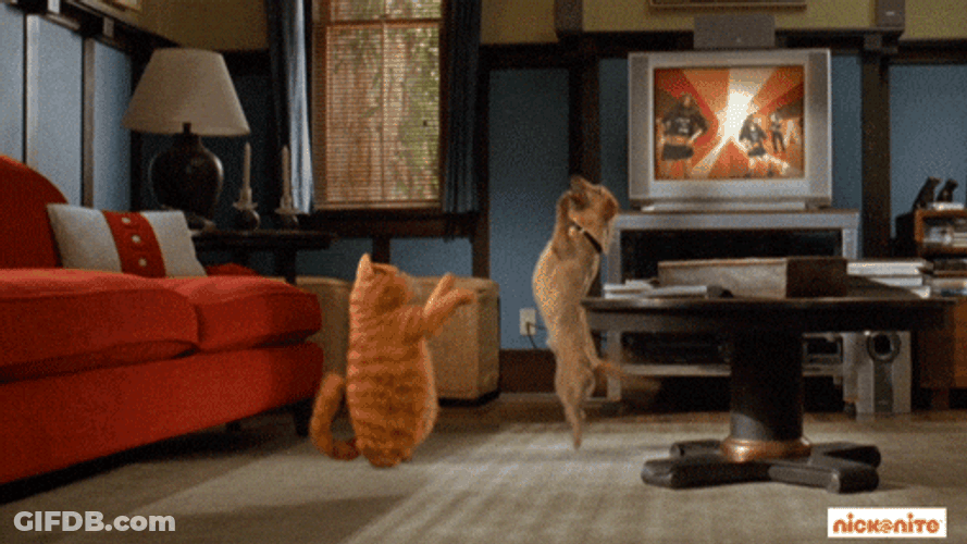 Catjam Garfield Pumped Up Dance GIF