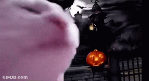 Catjam Halloween GIF