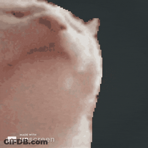 Catjam Rocking Cat Retrowave Background GIF