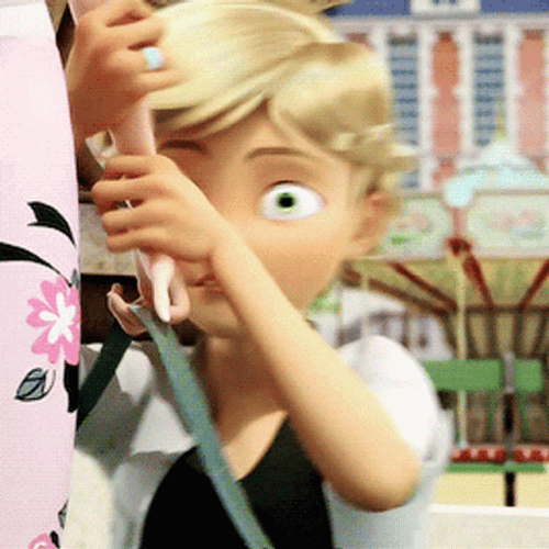Catnoir Ladybug Miraculous GIF