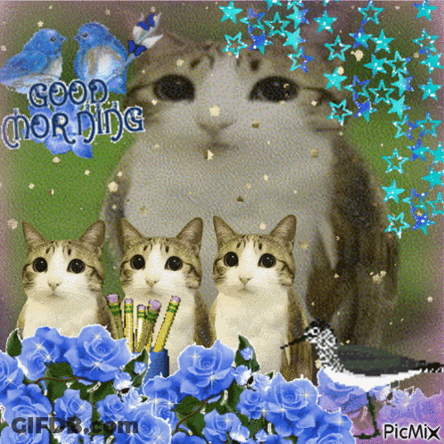 Cats And Flowers Collage Saying Good Morning GIF