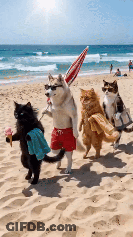 Cats And Husky Walking On Beach GIF