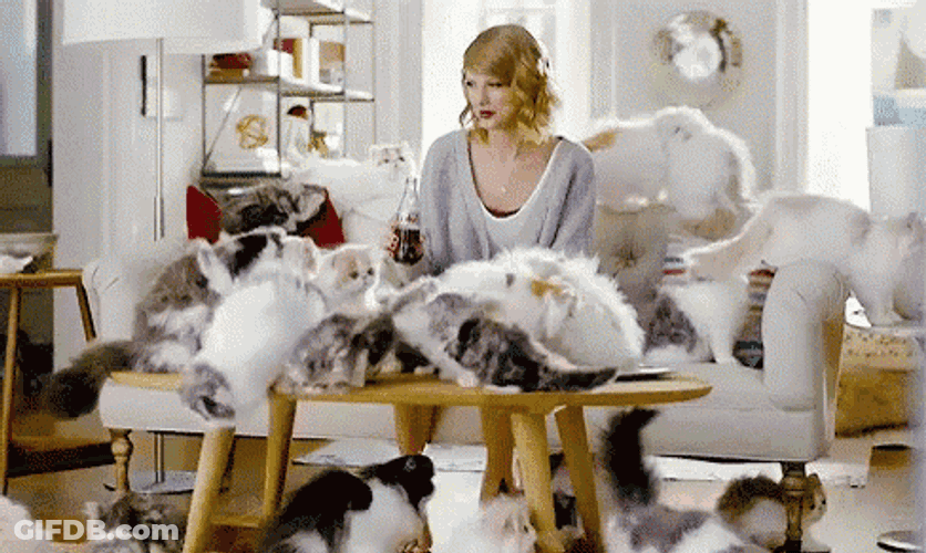Cats Are Life GIF